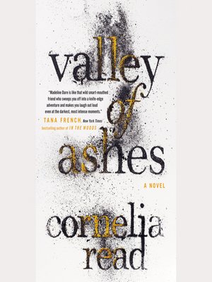 cover image of Valley of Ashes